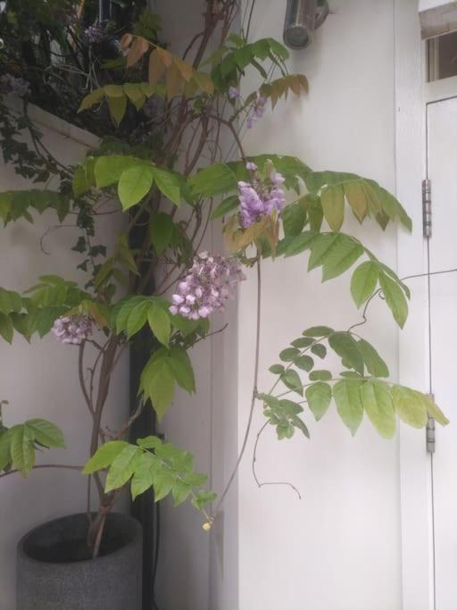 Superior 5* Kensington, London Flat + Free Wi-Fi 아파트 외부 사진